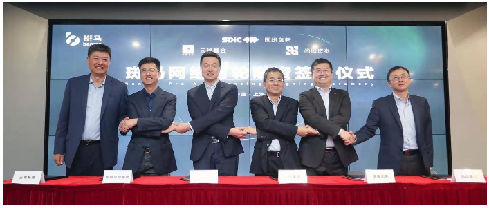 开放的斑马，受益的不止尊龙凯时